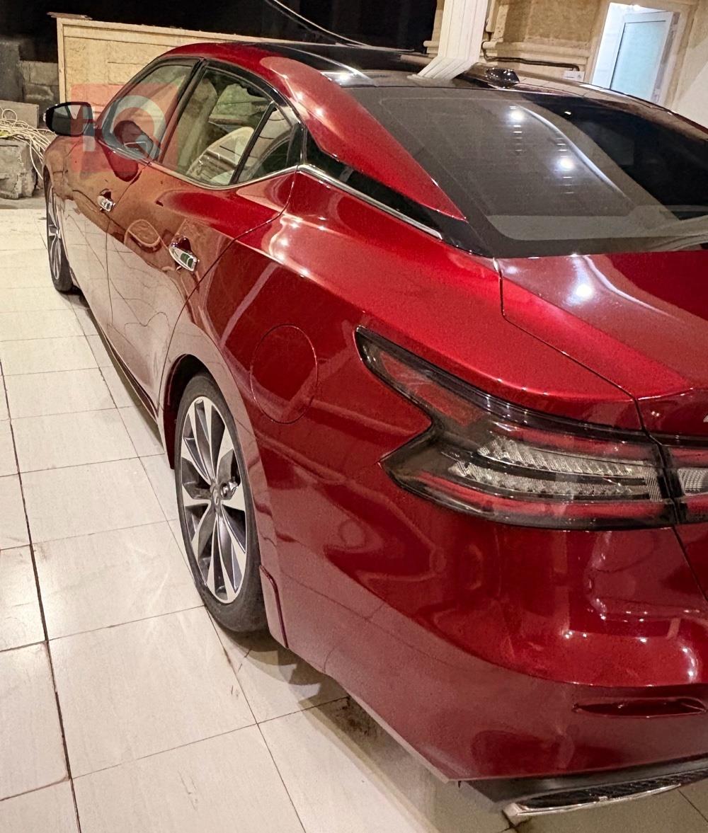 نيسان ماكسيما